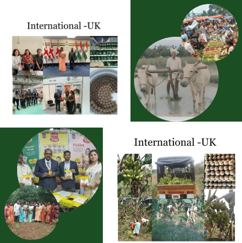 Why Choose Gandham Agro